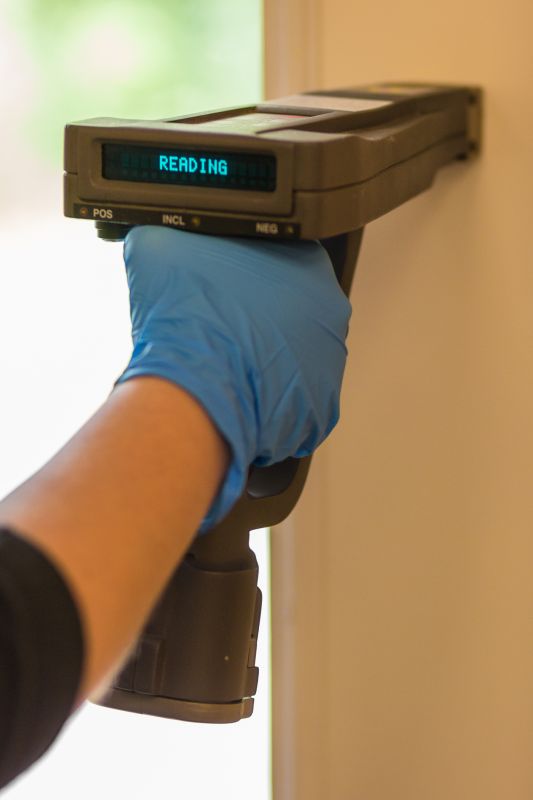 Lead Paint Inspection Services Listing