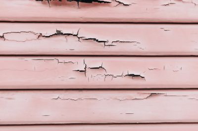 Lead Paint Inspection