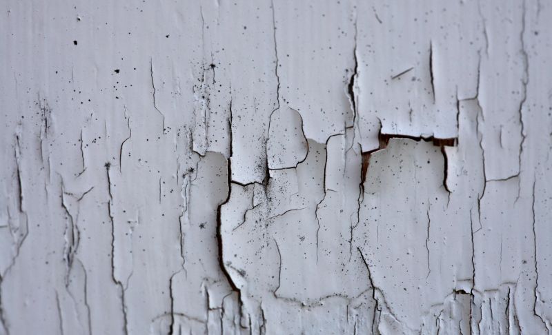 Lead Paint Inspection